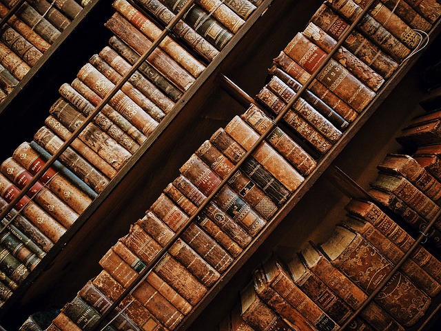 Kontroverzná literatúra